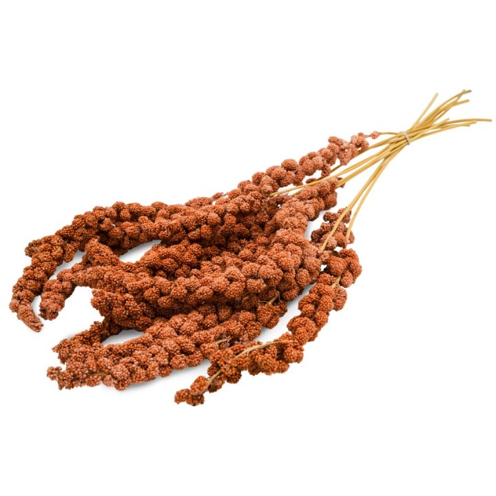 JR Birds Proso czerwone w kłosach 250g