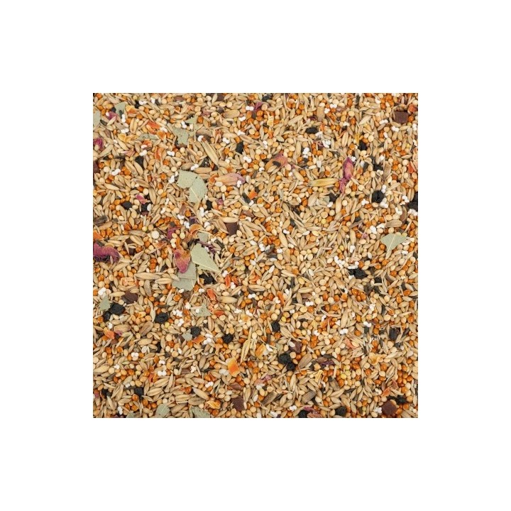 Vitaline Karma pełnoporcjowa dla falistej i innych małych papug 2,2 kg