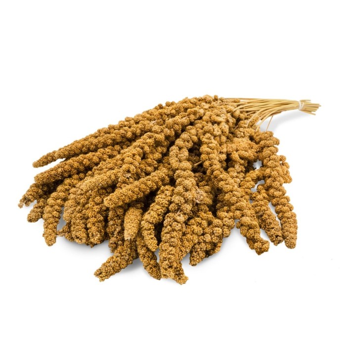 JR Birds Proso żółte w kłosach 1kg