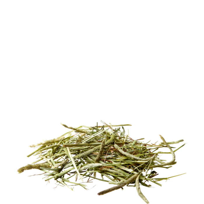 VL-Timothy Hay 1kg - siano...