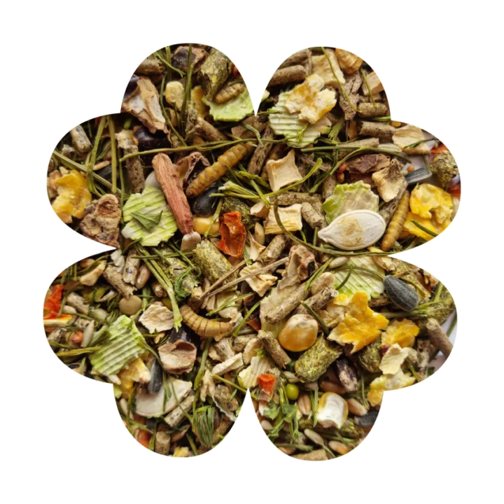 Alegia Enjoy Vegetable Chomik 340g - pokarm dla chomików