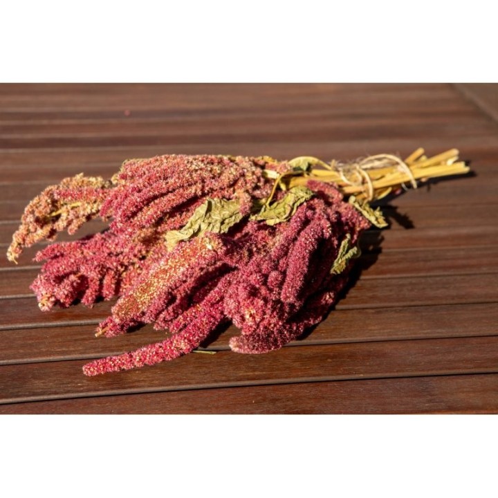 TIVO Amarantus kłosy 150g