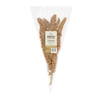 TIVO Proso senegalskie żółte w kłosach 150g