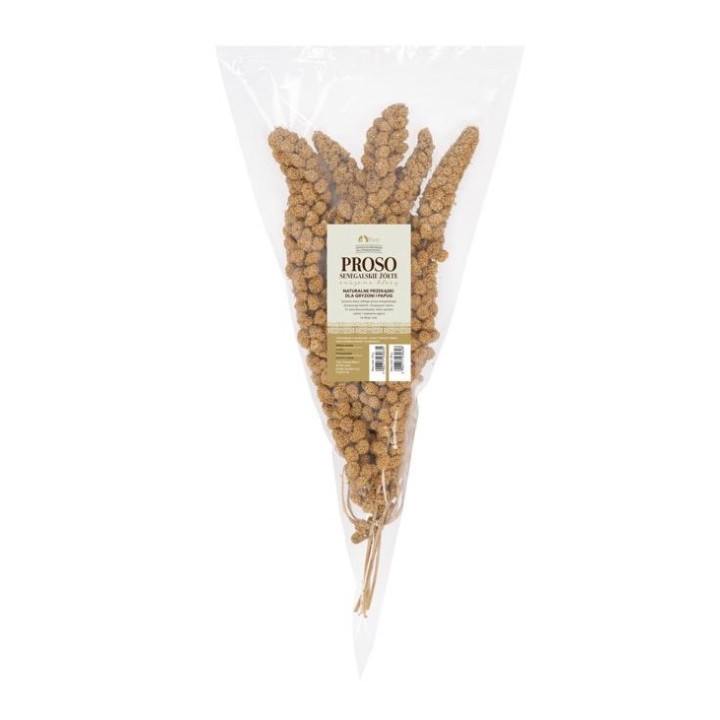 TIVO Proso senegalskie żółte w kłosach 150g