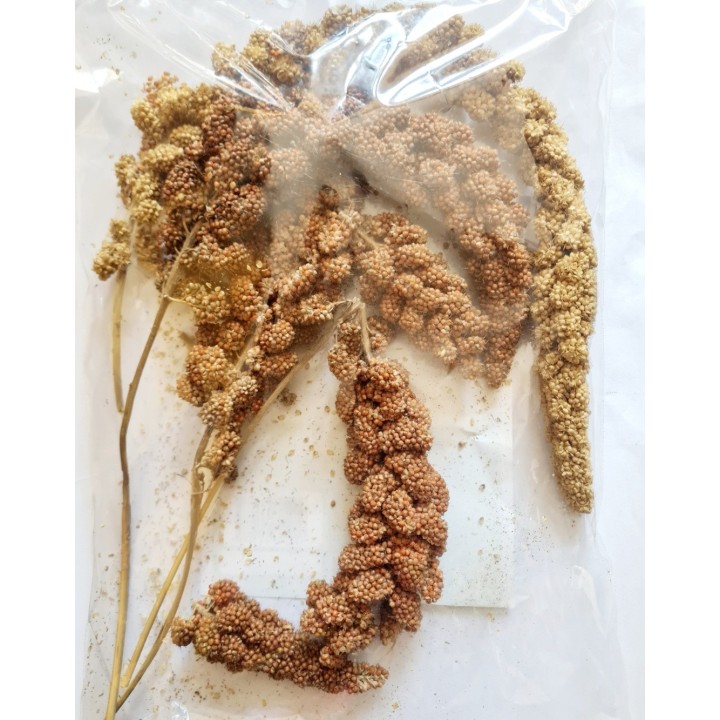 Alegia Proso Senegalskie 80g