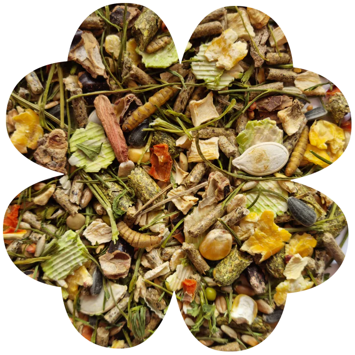 Alegia Enjoy Vegetable Chomik 340g