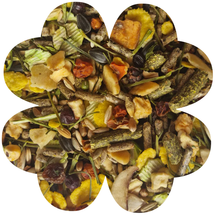 Alegia Enjoy Fruit&Vegetable Chomik 340g