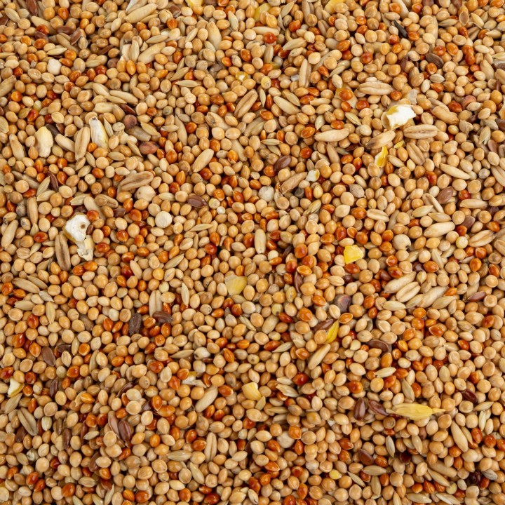 Vita Grow karma pełnoporcjowa dla małych papug 10kg