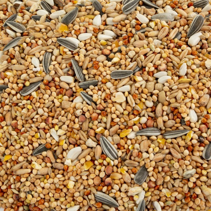 Vita Grow karma pełnoporcjowa dla średnich papug 10kg
