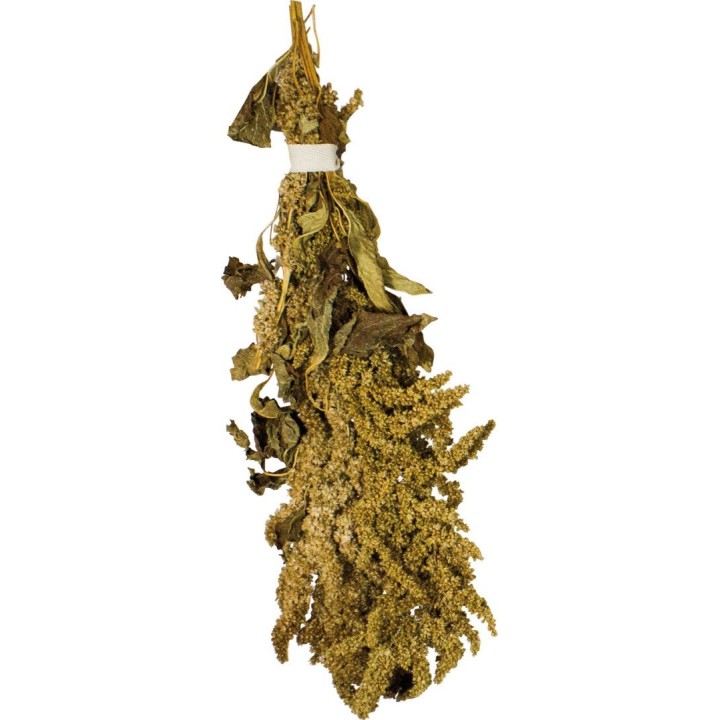 JR Farm Amarantus 30g dla ptaków egzotycznych