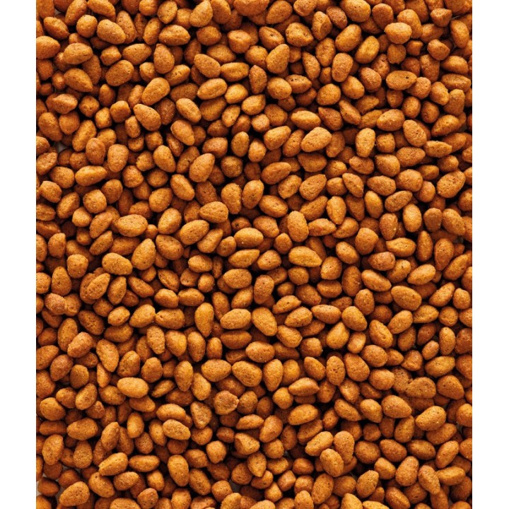 VL-NutriBird G14 Original 1kg - granulat dla średnich papug