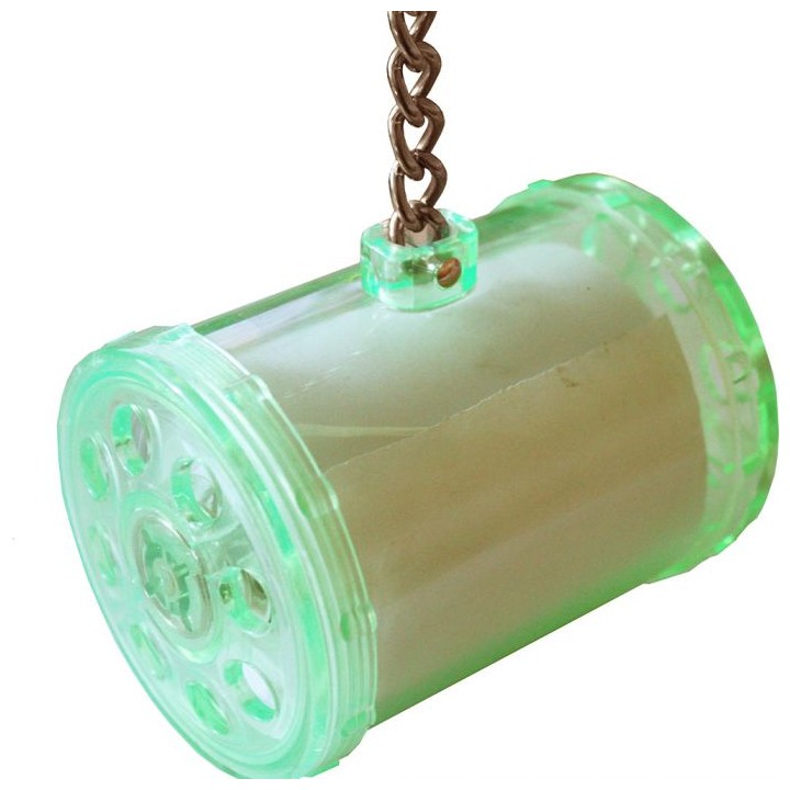 The Bird House ,,Shred It,,!