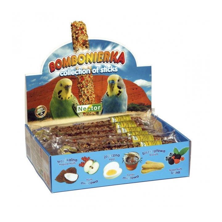 NESTOR Bombonierka dla małych papug 12 kolb