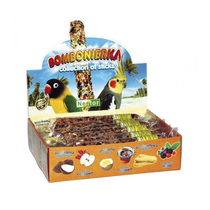 NESTOR Bombonierka dla średnich papug 12 kolb