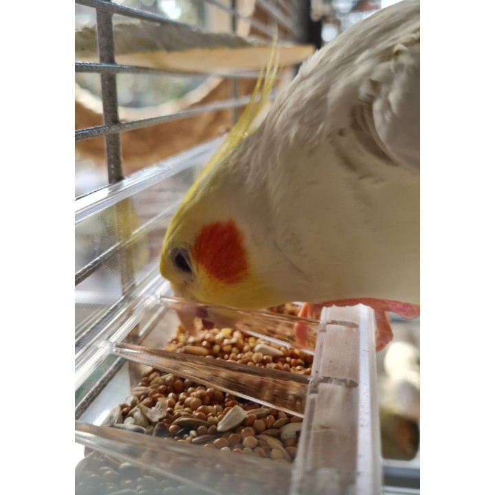 ZOLUX Karmidełko plastikowe z kratką XL