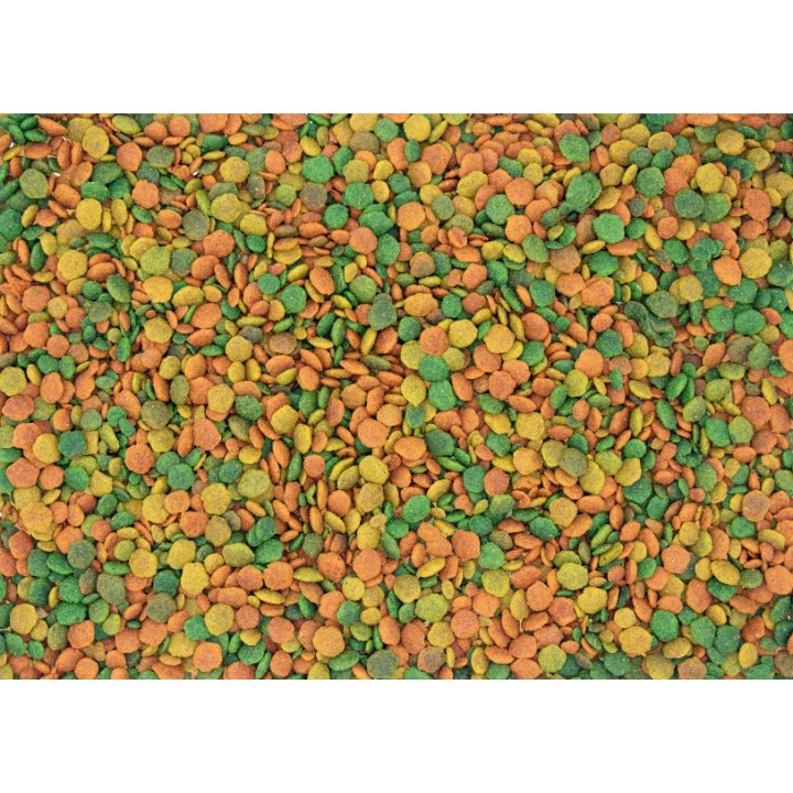 VL NutriBird G14 Tropical 1kg granulat dla średnich papug