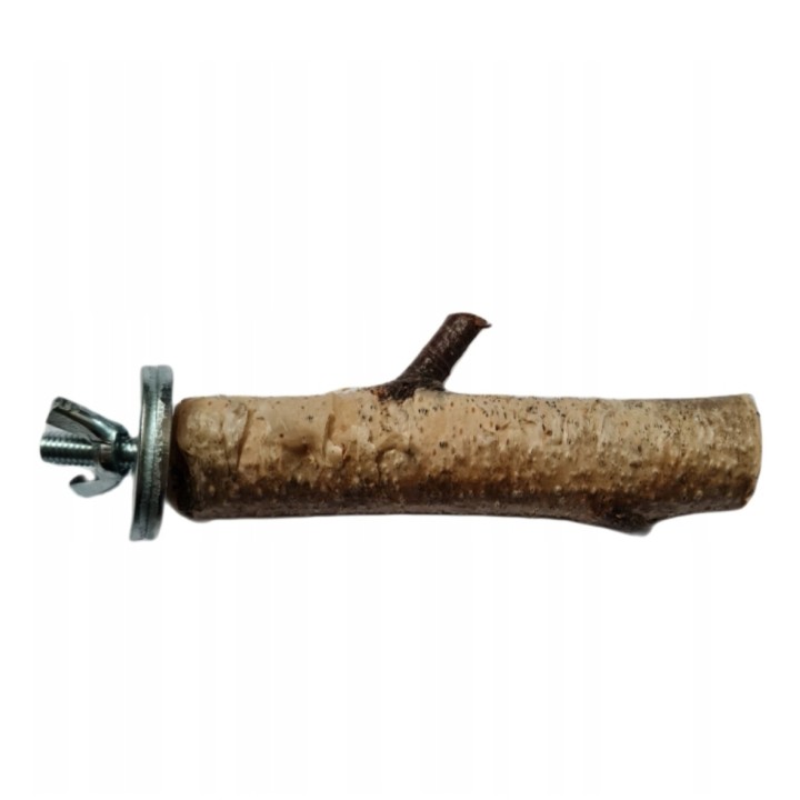 Znudzony Dziubek Żerdź brzozowa 10cm