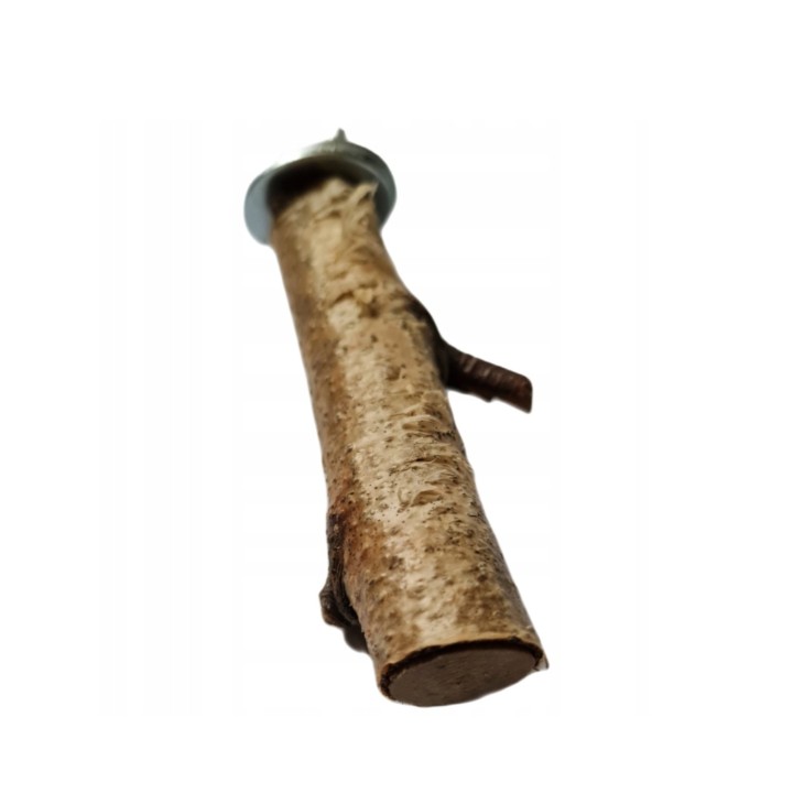 Znudzony Dziubek Żerdź brzozowa 10cm