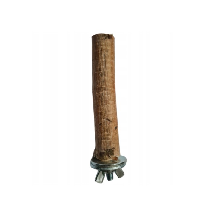 Znudzony Dziubek Żerdź brzozowa 10cm