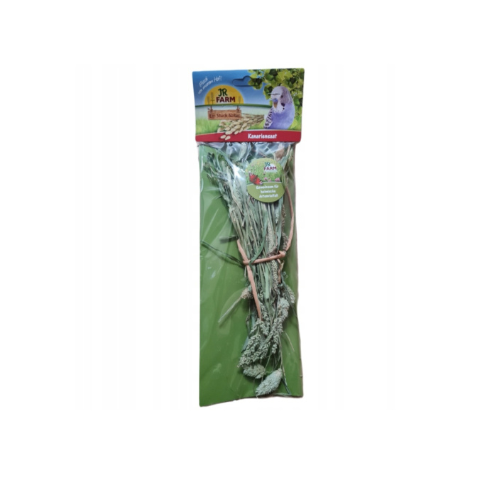 JR Farm Mozga Kanaryjska...