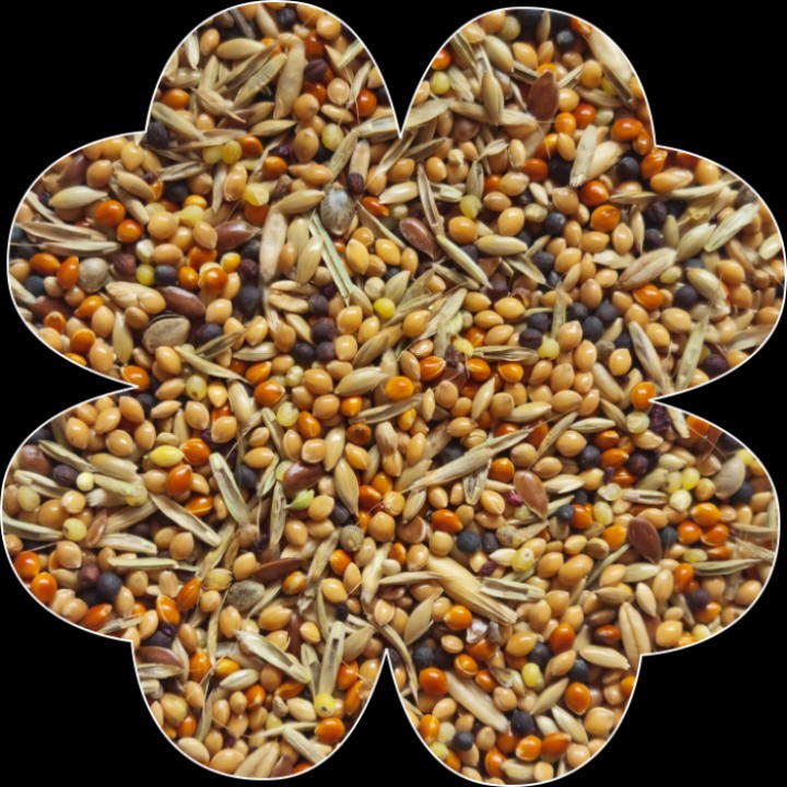 Alegia Enjoy Pokarm dla Zeberki 450g