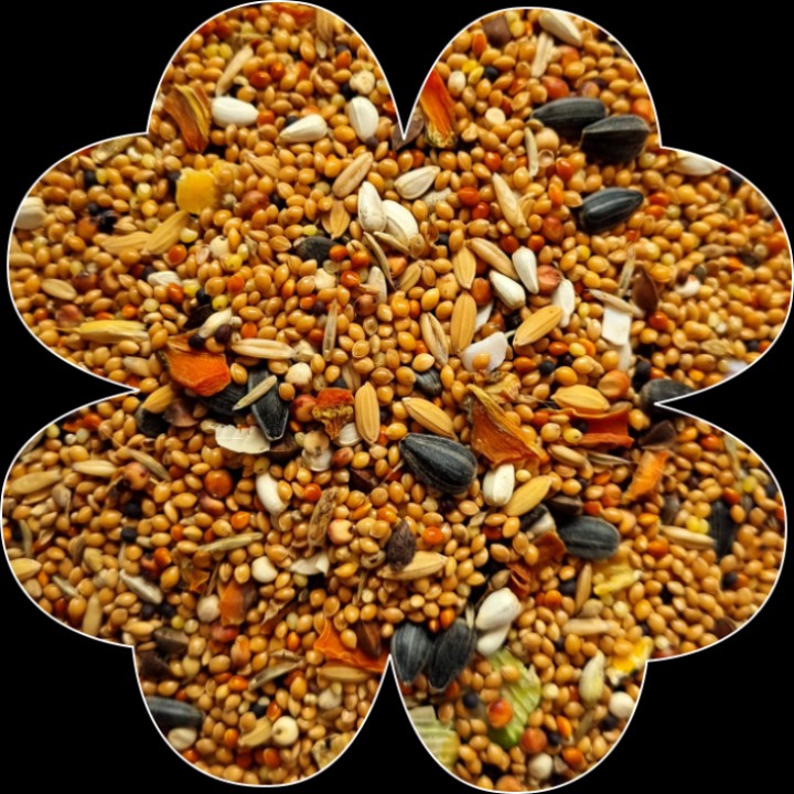 Alegia Enjoy Pokarm dla Nimfy 900g