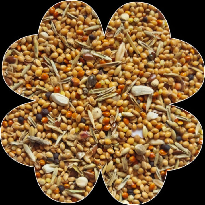 Alegia Enjoy Pokarm dla Falistej 900g