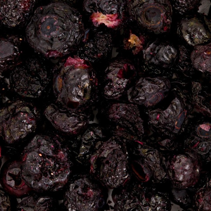 Powerki Borówka liofilizowana 20g Przysmak dla papug / gryzoni / królików