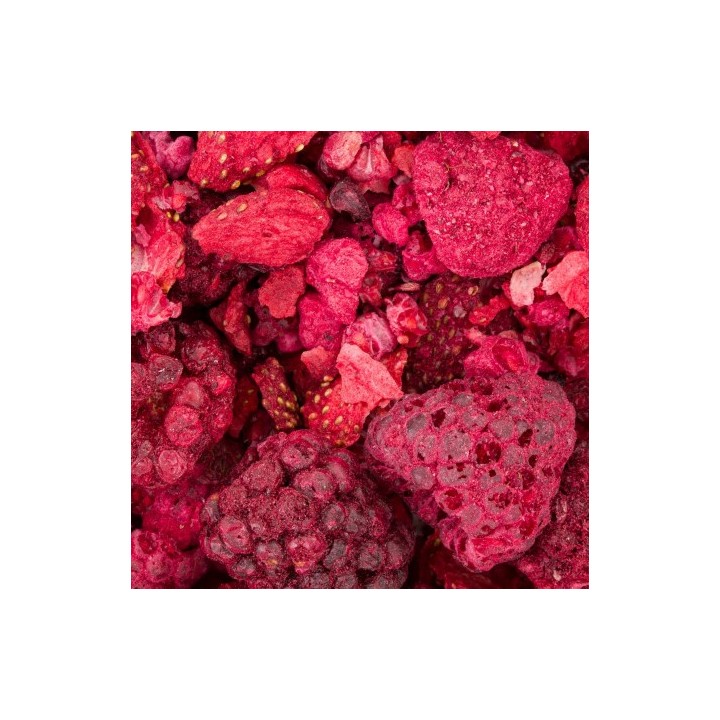 Powerki Leśne skarby liofilizowane 20g Przysmak dla papug / gryzoni / królików