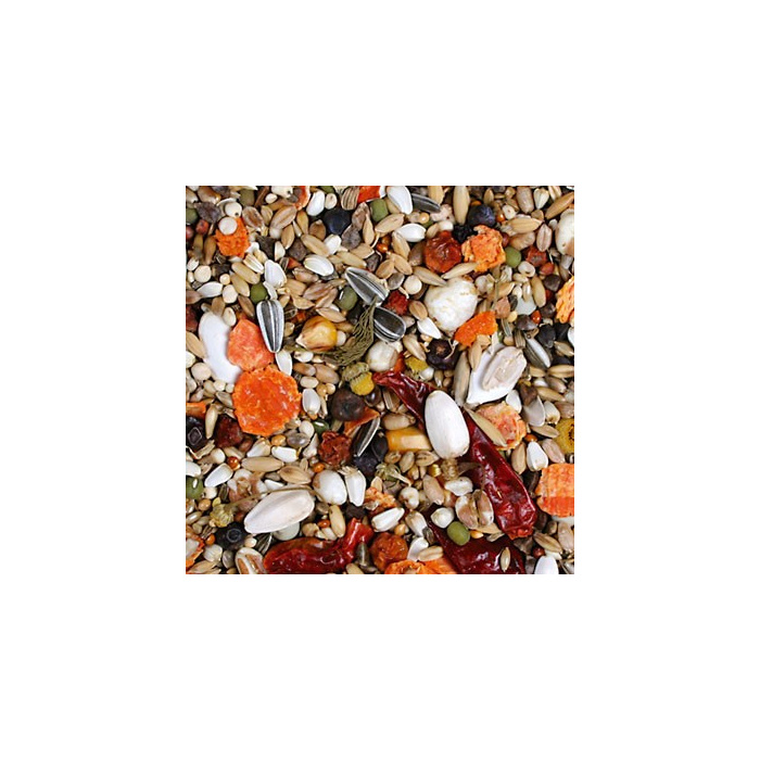 JR Birds Amazonka...