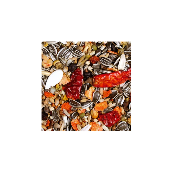 JR Birds Żako Individual...