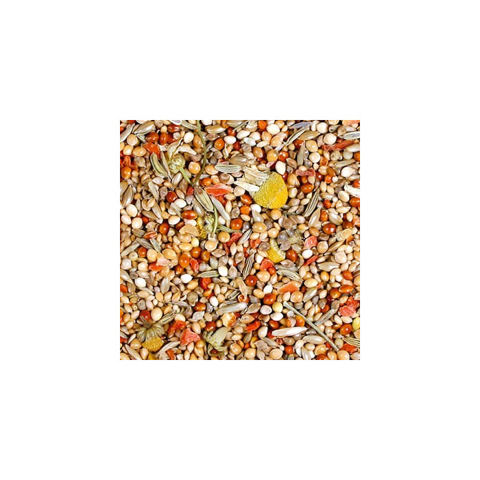 JR Birds Zeberka Individual...