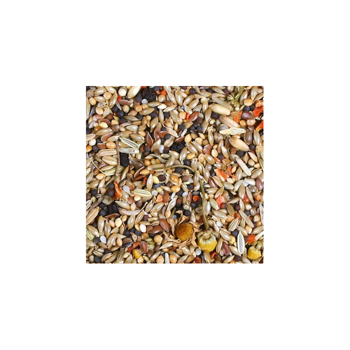 JR Birds Kanarek Individual...