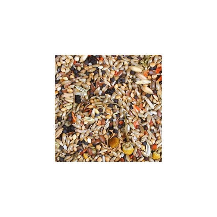 JR Birds Kanarek Individual 1kg- pokarm dla kanarków