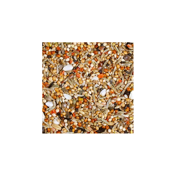 JR Birds Senegalka...