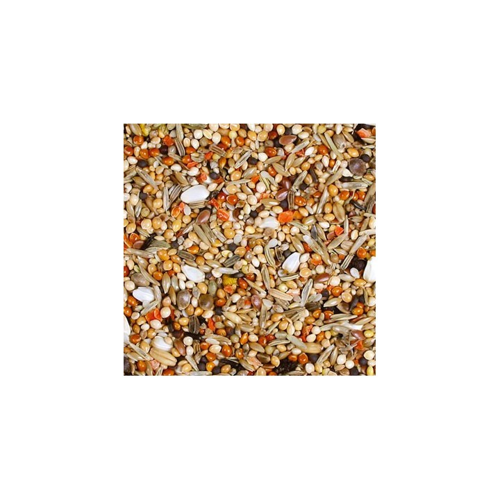 JR Birds Senegalka Individual 950g - pokarm dla senegalek