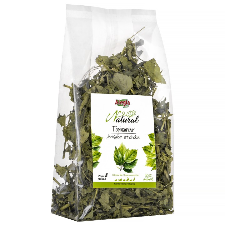 Alegia Natural Topinambur suszony 100g dla papug / gryzoni / królików